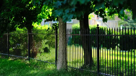 wood fence