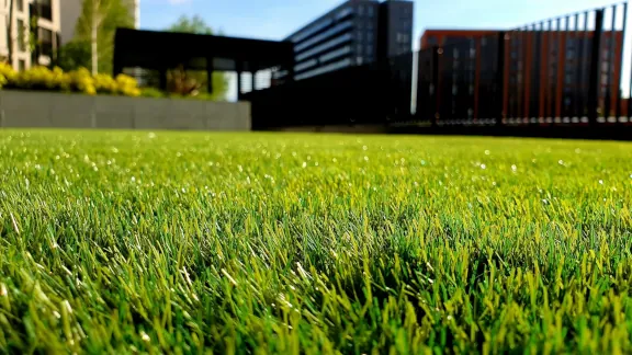 landscape designer