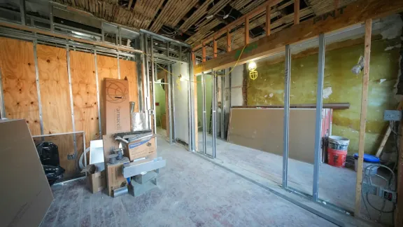 mold specialist