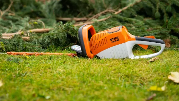 residential tree trimming