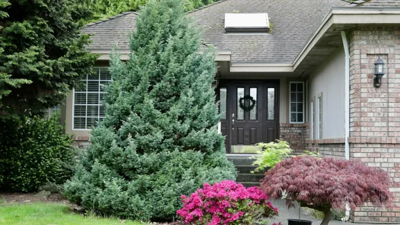 free tree estimate